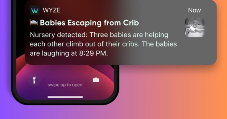 Wyze Descriptive Alerts