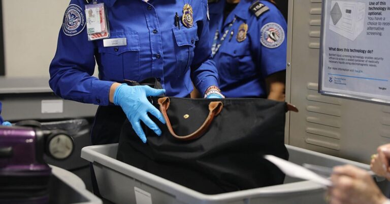 tsa airport security